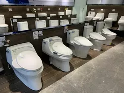 5 TOTO Washlet con toilette integrata